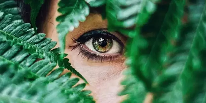 Vision und Ladung für seine Restaurierung